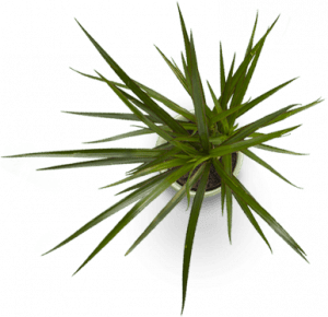 lakberendezés Szalontai Kata